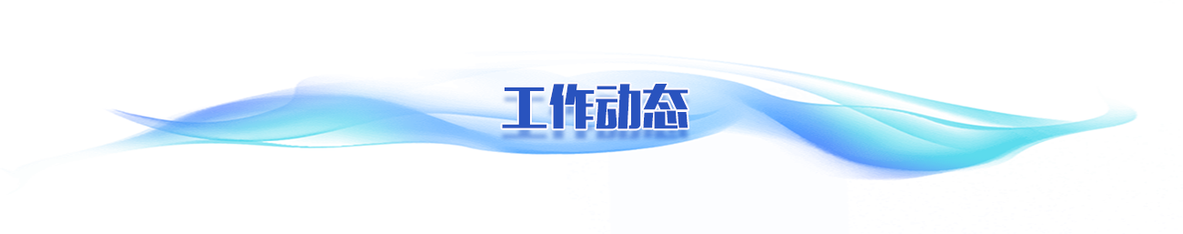 工作动态